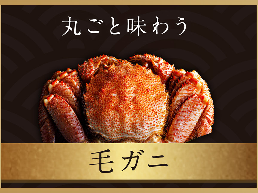 毛ガニ